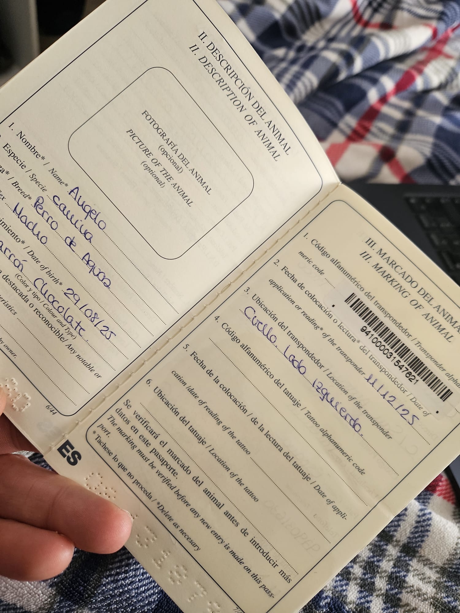 Sellos y notas en cartilla