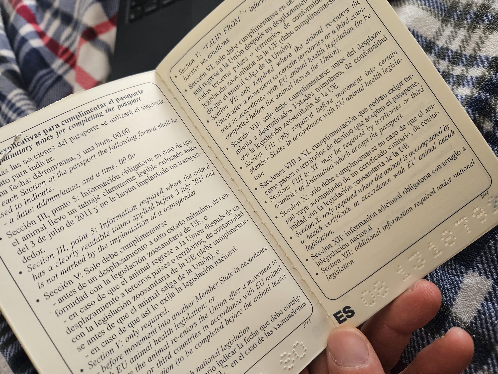 Páginas de pasaporte con notas y sellos