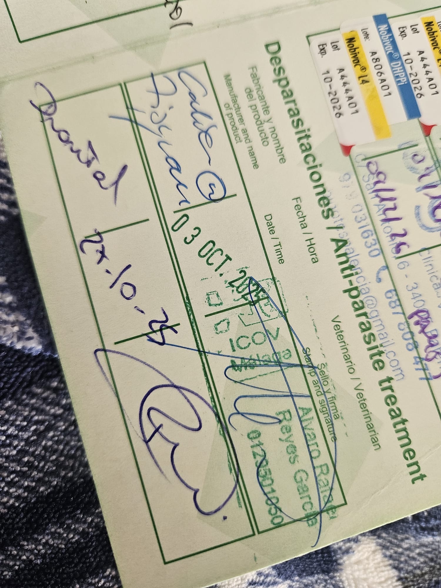 Tratamiento sellado en cartilla